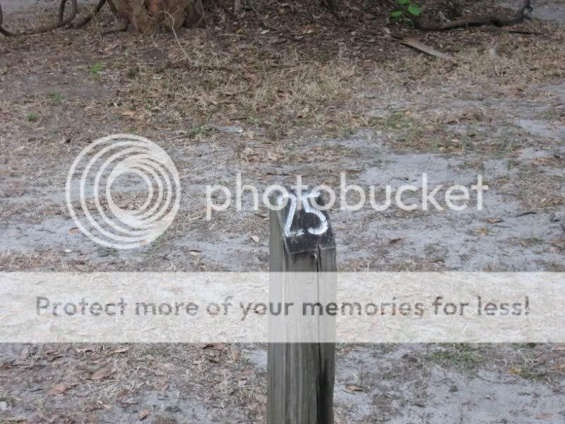 Our site