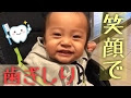 [最も選択された] 9ヶ月 赤ちゃん 歯ぎしり 204693-9ヶ月 赤ちゃん 歯ぎしり