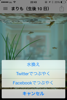 簡単で手間いらずの まりも 育成アプリでスマホに癒しを常備する Peachy ライブドアニュース