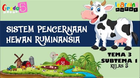sistem pencernaan  hewan ruminansia tema  subtema  kelas