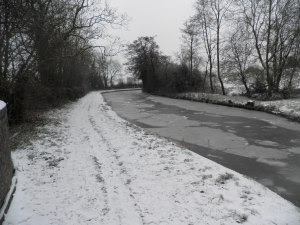 Towpath Alvechurch