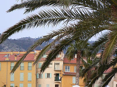 menton 2.jpg