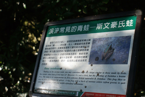 DSC09328