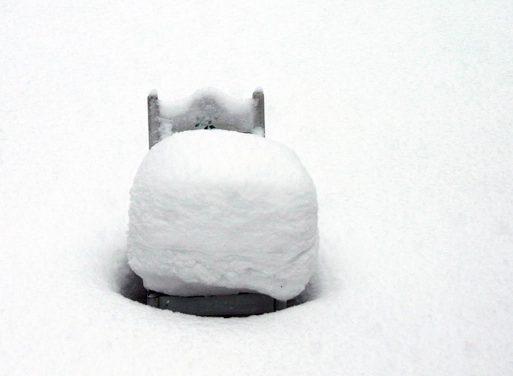 The Winter Chair