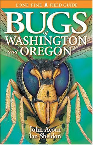 Bugs Of Washington And Oregon