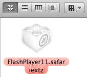 FlashPlayer11