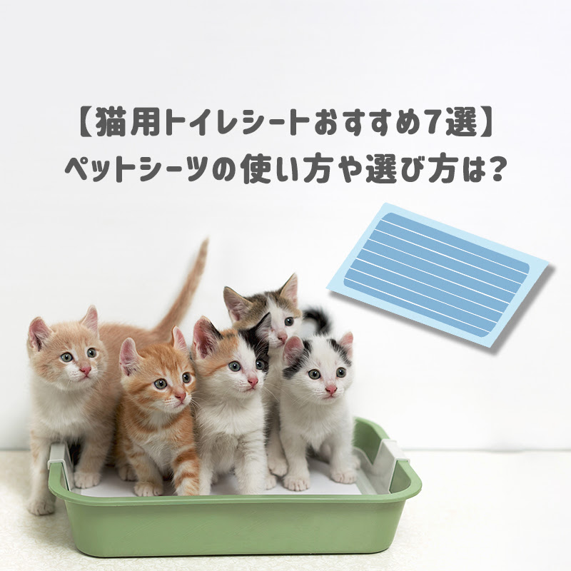 猫用トイレシートおすすめ7選 ペットシーツの使い方や選び方は