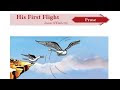 10th Std English Lesson 1 His First Flight(Tamil) - Liam O' Flaherty