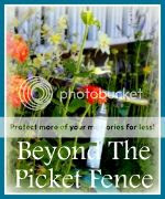 Beyond The Picket Fence