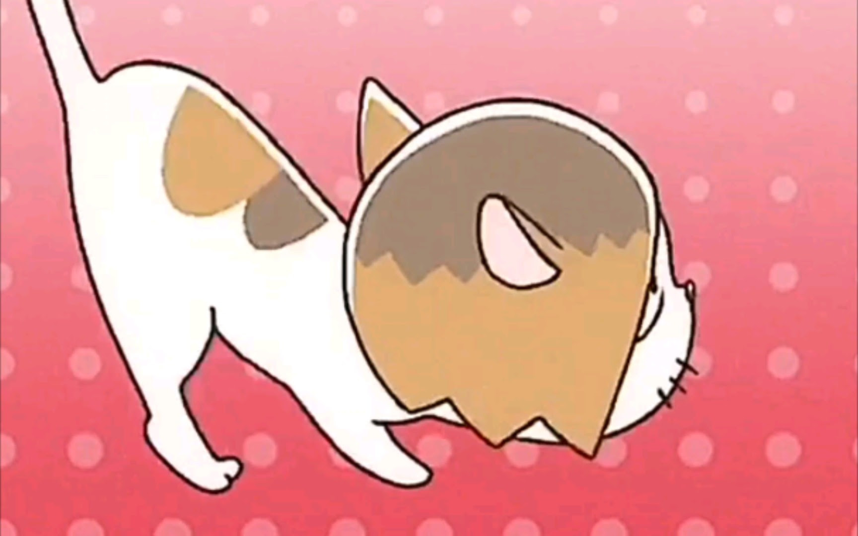 小排球 研磨猫猫 哔哩哔哩 つロ干杯 Bilibili