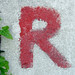 R