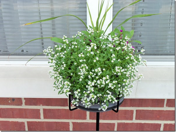 08-14-2016 GW15 (11)