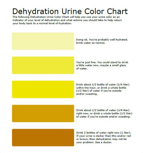  urine sample colour chart hq printable documents images