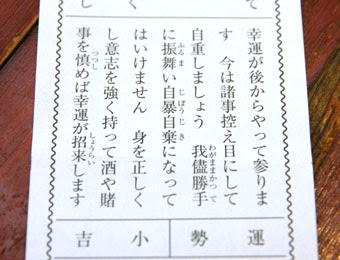 富士丸な日々 今年のおみくじ