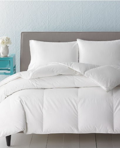 Charter Club Vail Level 4 Medium Weight Queen/full European White Goose Down Comforter On Sale