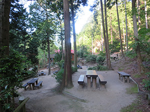 えひめ森林公園