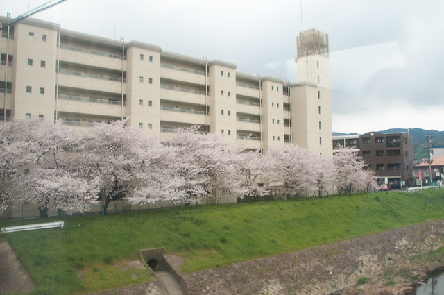 DSC_1110
