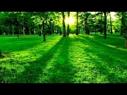 Top Lagu Pembangkit Semangat Di Pagi Hari, Terupdate!