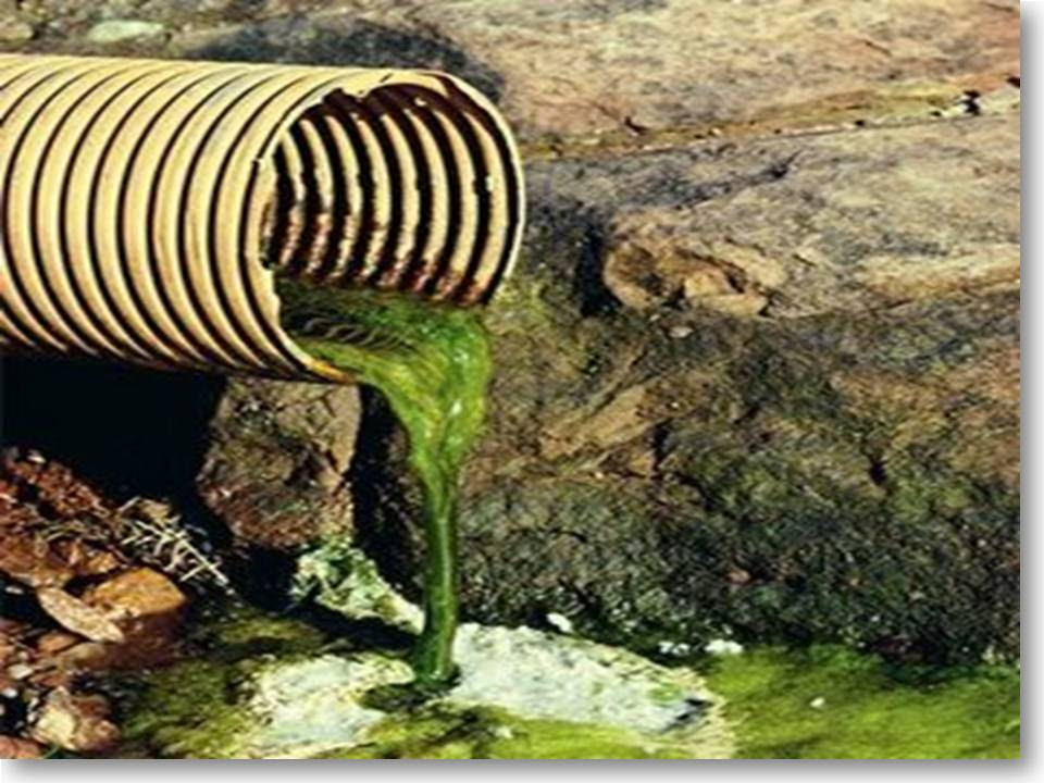 Contoh Pencemaran Air