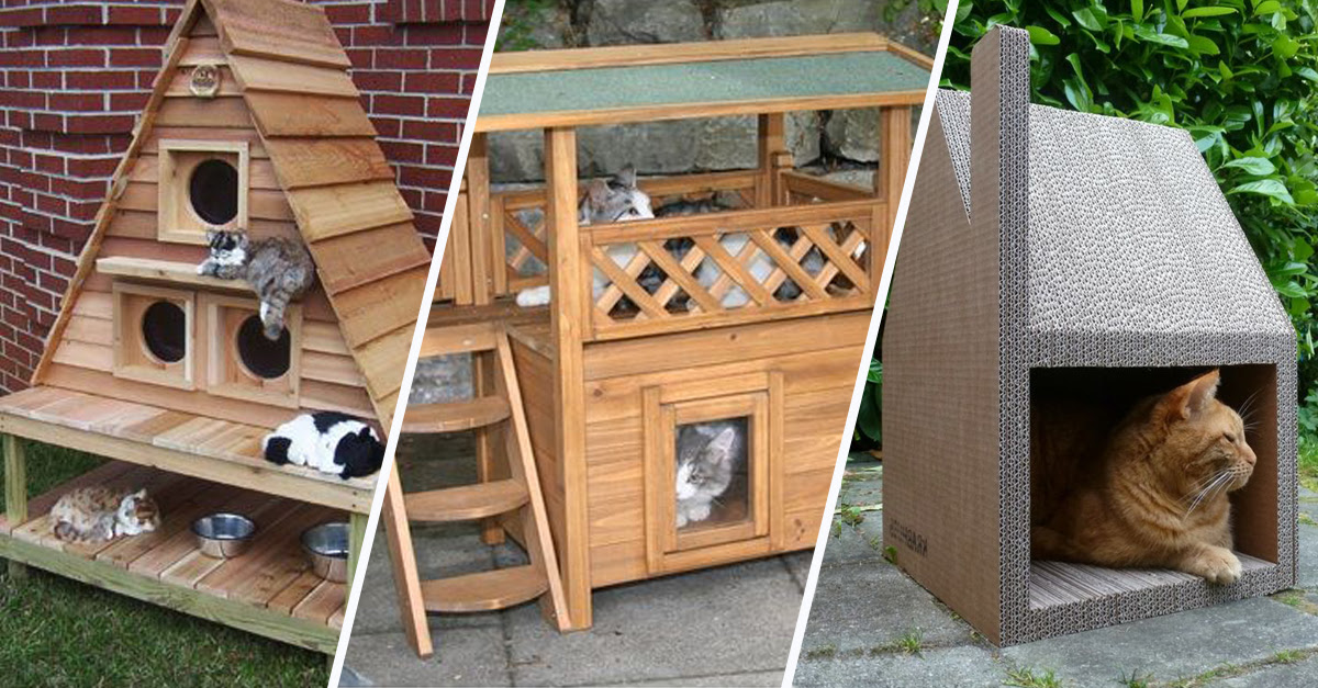 14 Idees De Cabanes Pour Chat Qui Feront Des Ravis