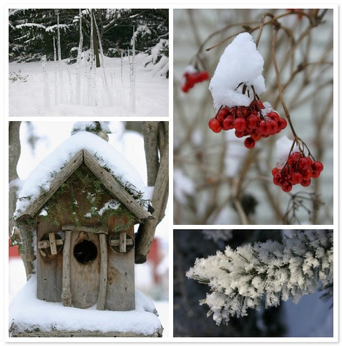 Winter on the Farm