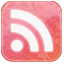 medium pink RSS Pictures, Images and Photos