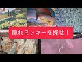 選択した画像 インディー ���ョーンズ 隠れ ミッキー 276776