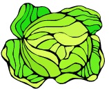 cabbage.gif