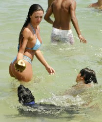 imagebam.com