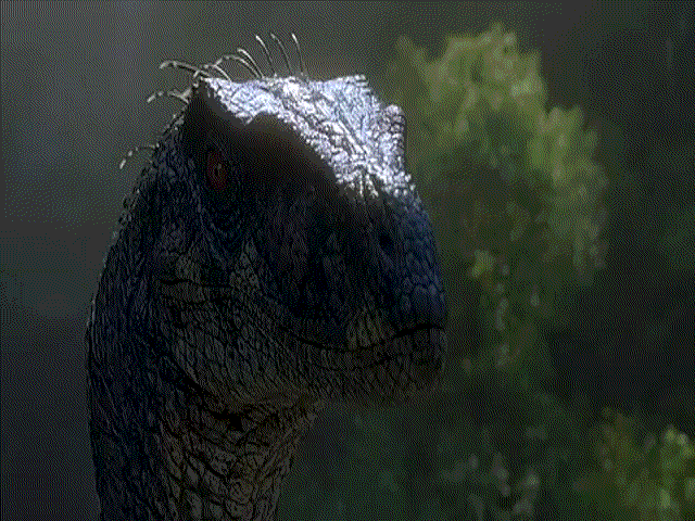 jurassic park raptor huh GIF