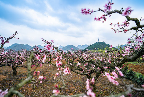 地方 人民網 網上的人民日報