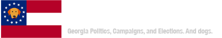 Georgia Politics, Campaigns and Elections - GaPundit