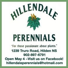  photo hillendale14bordered.jpg