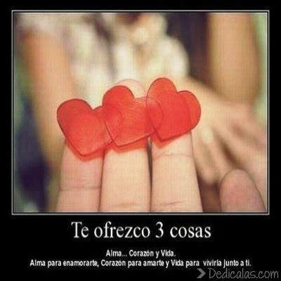 frases de amor  novios imagenes de amor bonitas