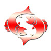 Pisces Astrology 2013