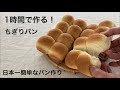 √無料でダウンロード！ ��ン 初心者 レシピ 325579-プ���フランス パン レシピ 初���者