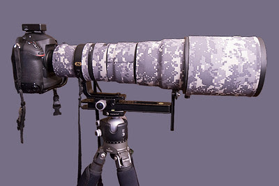 Nikon D4 with Nikkor 500mm lens on tripod with ball head and long lens support