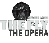 Fly6