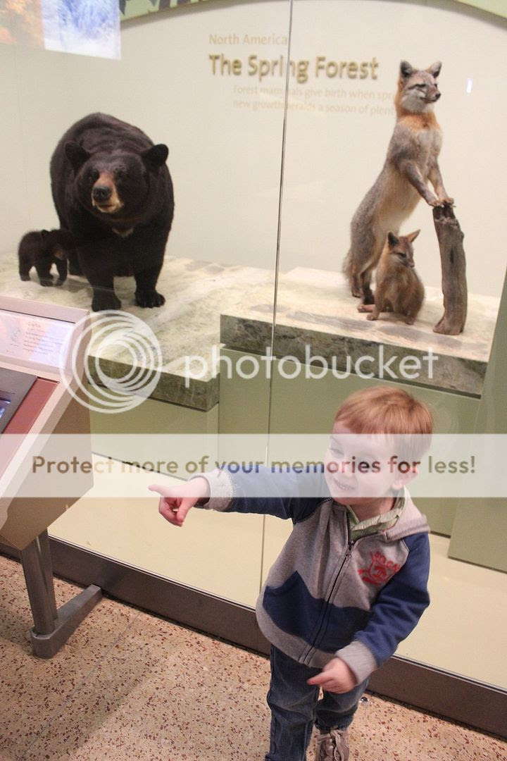  photo Smithsonian9_zps2f7d081d.jpg