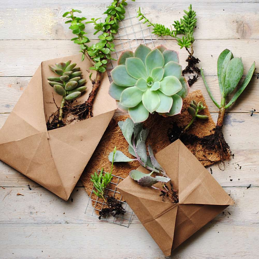 Pocket wall planter