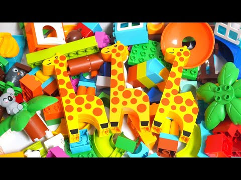 Satisfying Building Blocks Marble Run ASMR Course of three giraffes Koalas also come out