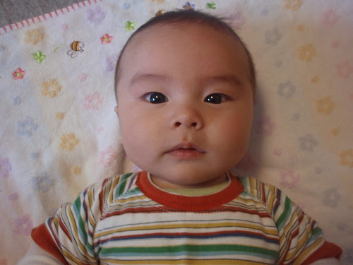 mr. bright eyes