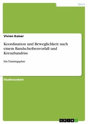 Ralph Geisenhanslüke: Schieflage - Mit einer verrückten