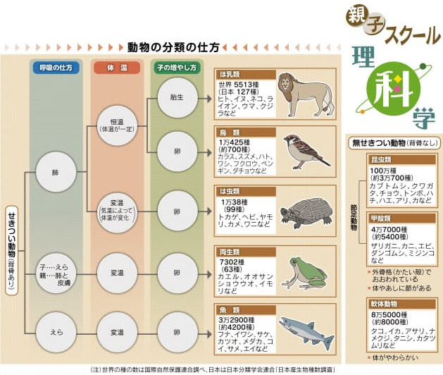 動物について