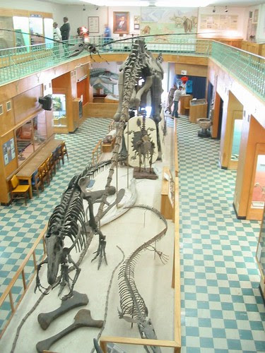 Wyoming Geology Museum