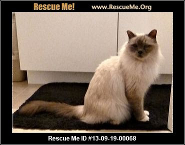 Rescueme himylaian