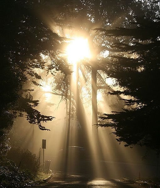Beautiful Rays Of Light - Neatorama