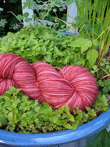 strawberrymadtosh