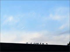 Morning line-up
