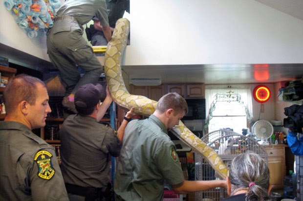 Pat Howard decidiu entregar cobras para as autoridades (Foto: Wilson Ring/AP)